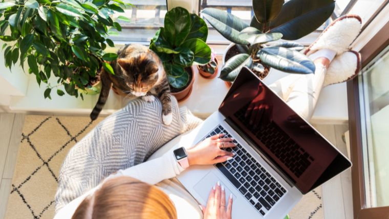 A person working from home with a laptop and a cat | How To Handle Depression at Work: 8 Practical Strategies for a Rewarding Career | Mindful Health Solutions