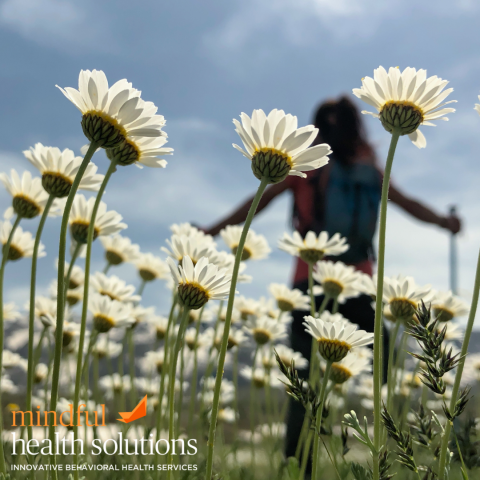 Image showcasing The Nurturing Effect of Nature on Mental Health - Mindful Health Solutions
